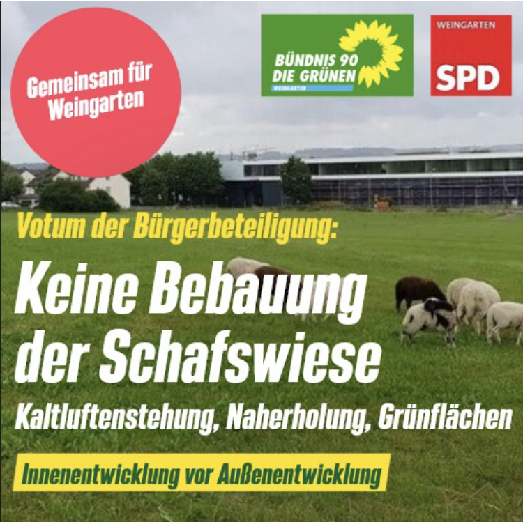 Antrag: Keine Bebauung der Schafswiese