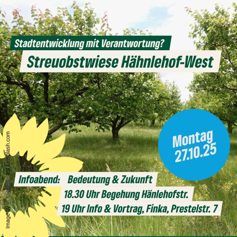 Bebauung Hähnlehofstraße: Stadtentwicklung mit Verantwortung?